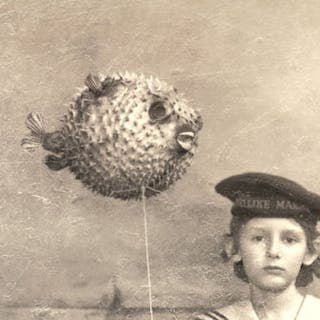 Thumbnail of Blowfish Conceptboosting NVDK