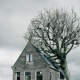 Thumbnail of Tree house DDB Achmea