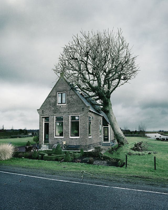 Tree house DDB Achmea