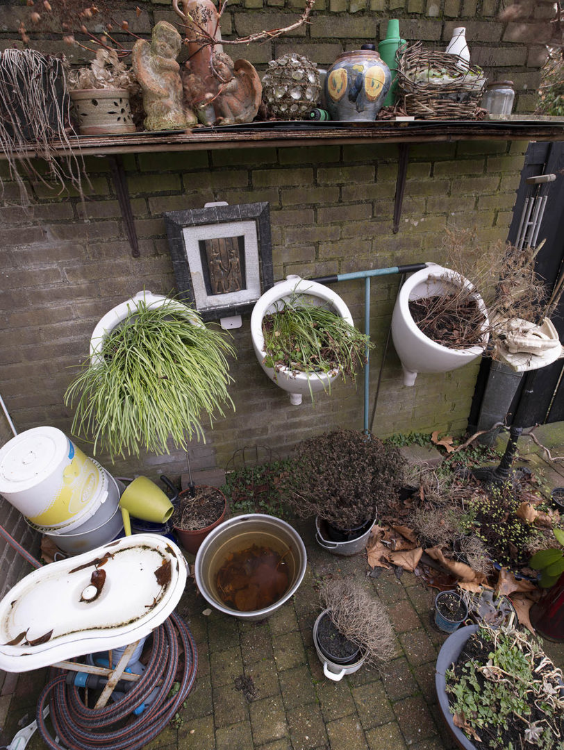 Thumbnail of New Life