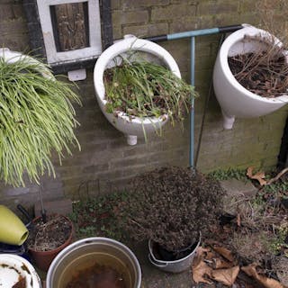 Thumbnail of New Life