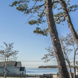 Thumbnail of Long Island