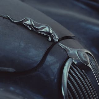 Thumbnail of Jag Eddy Koning