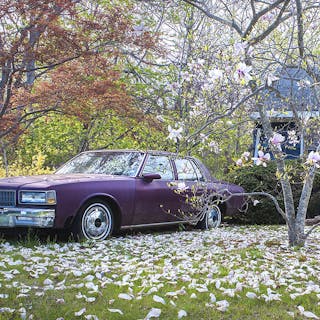 Thumbnail of Purple Car