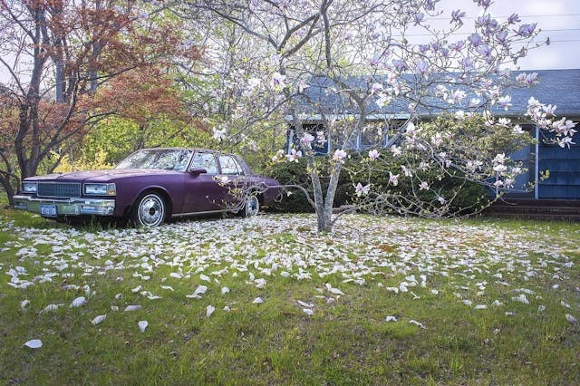 Purple Car