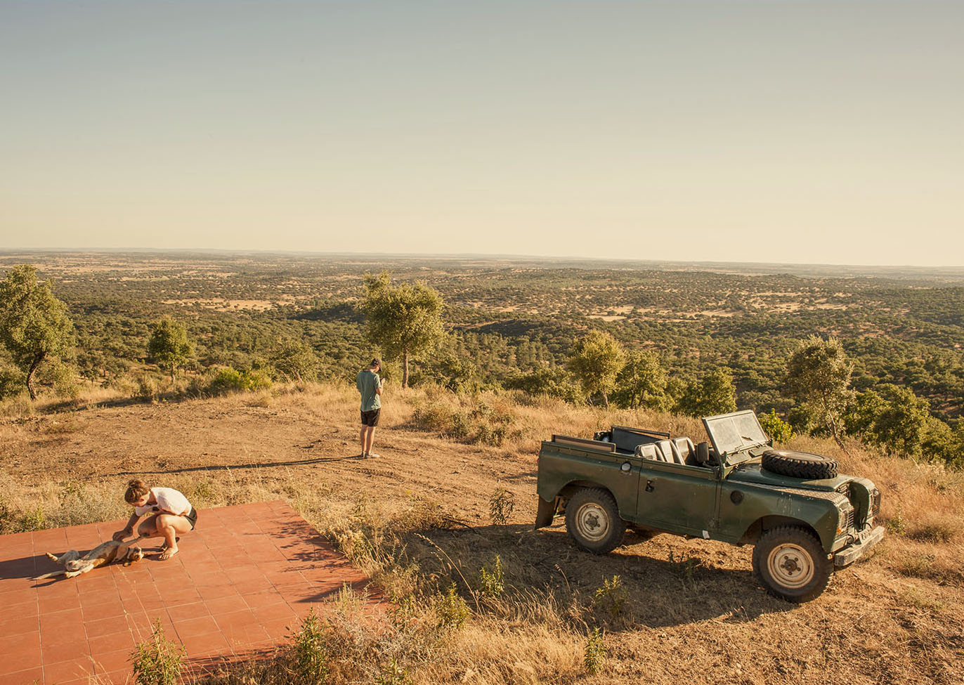 Thumbnail of Top of the Hill