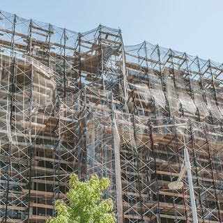 Thumbnail of Net Tree