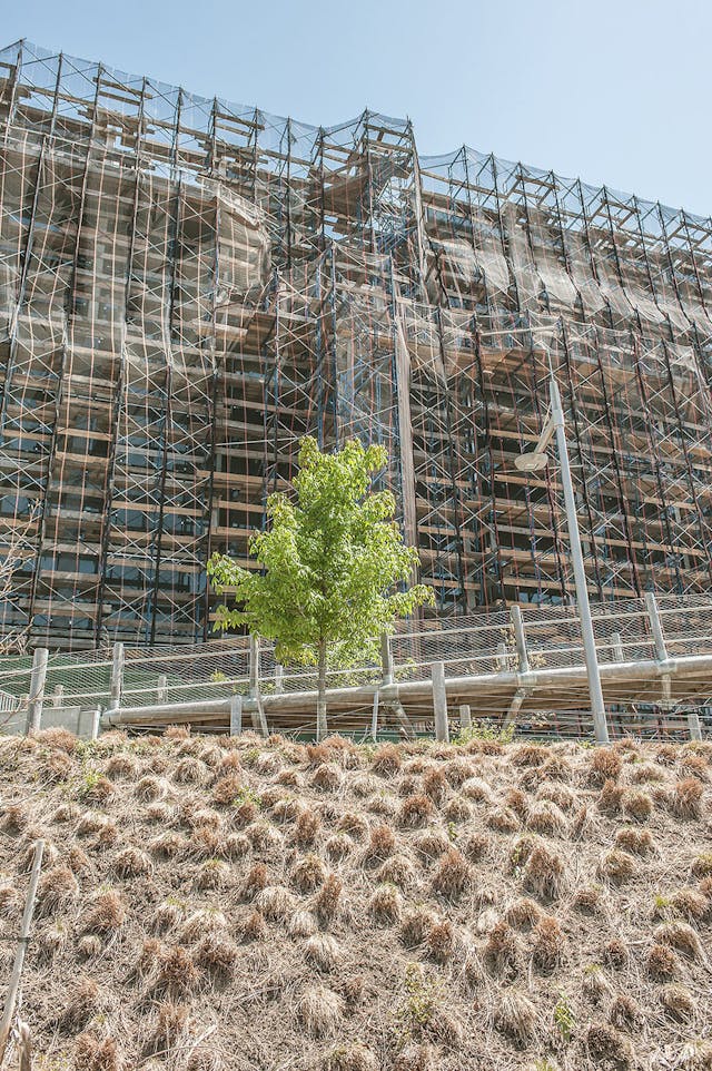 Net Tree