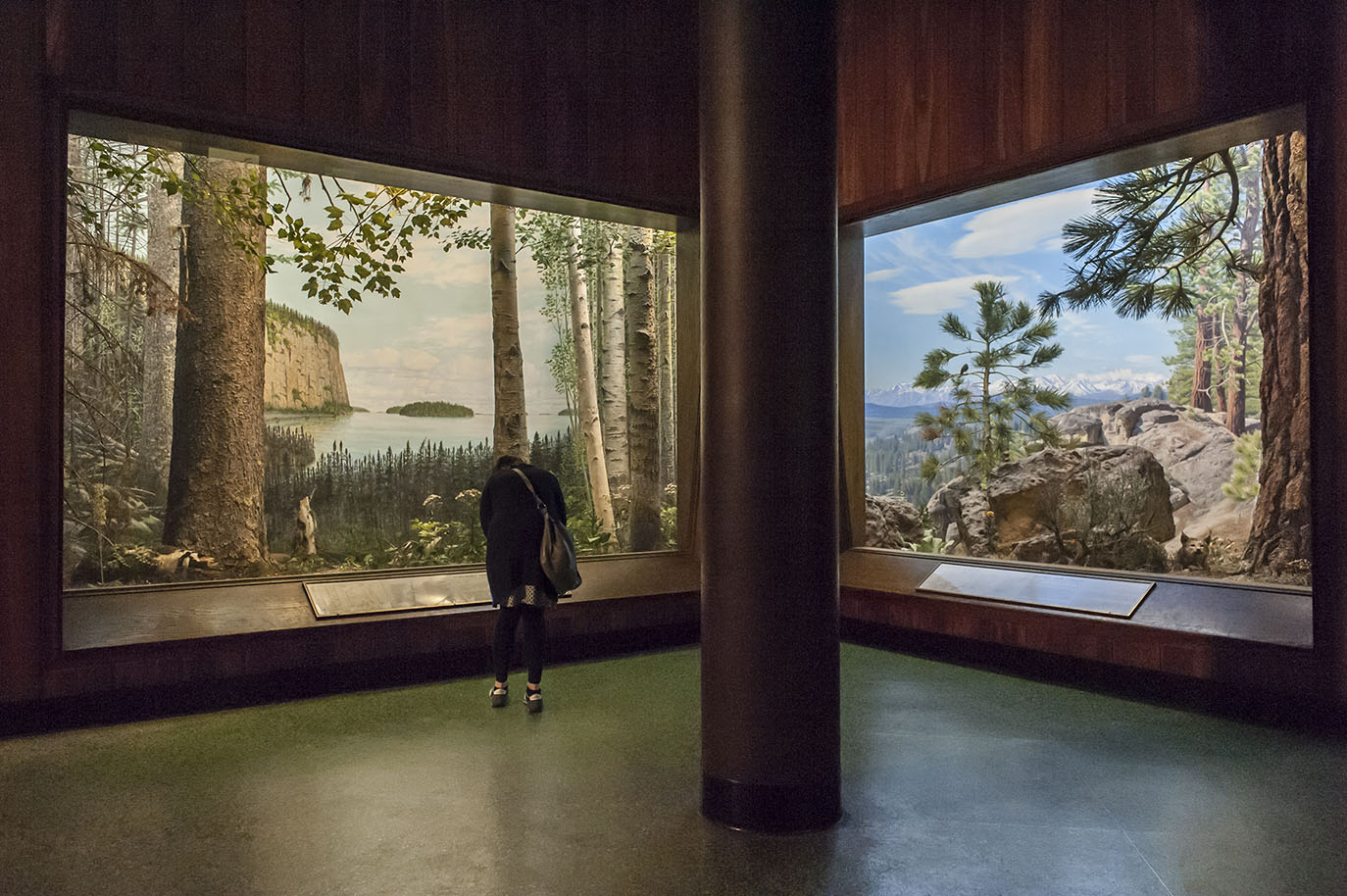 Thumbnail of Wild Life