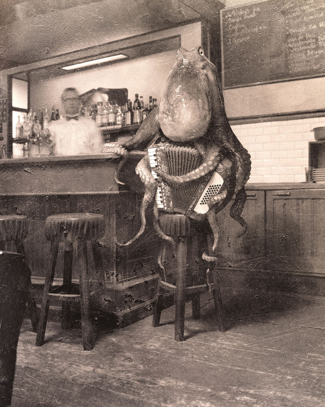 Thumbnail of Octo Conceptboosting NVDK