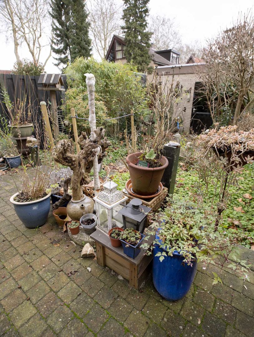 Thumbnail of Pot City