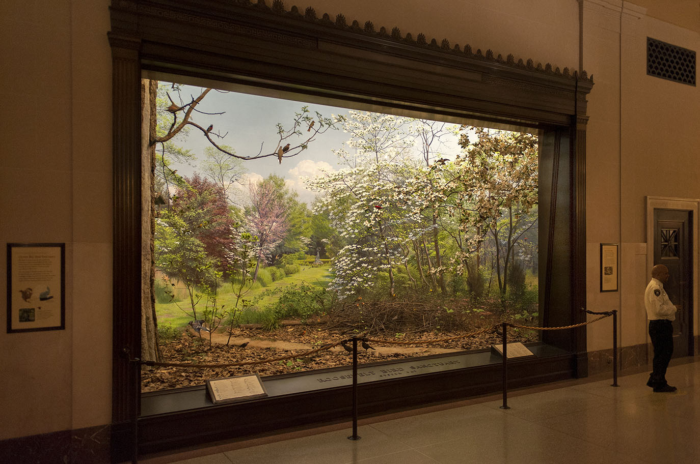 Thumbnail of Conservation