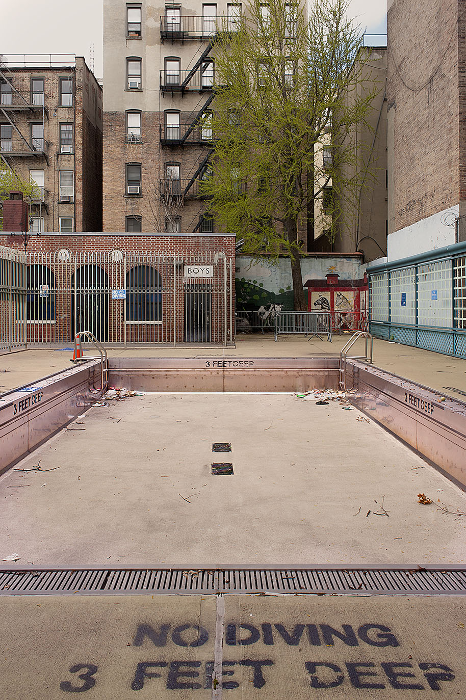 Thumbnail of No Diving!