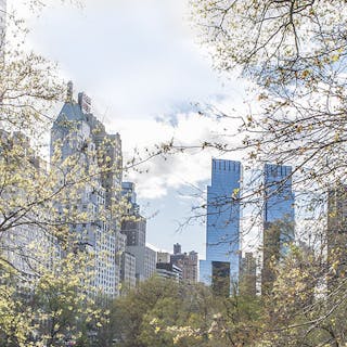 Thumbnail of Spring Park