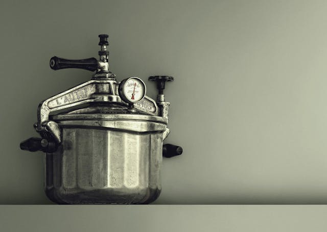 Pressure Cooker Alta Nijenrode