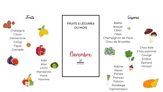 schema fruits legumes novembre