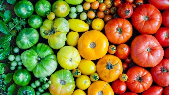 photos de fruits légumes colorés