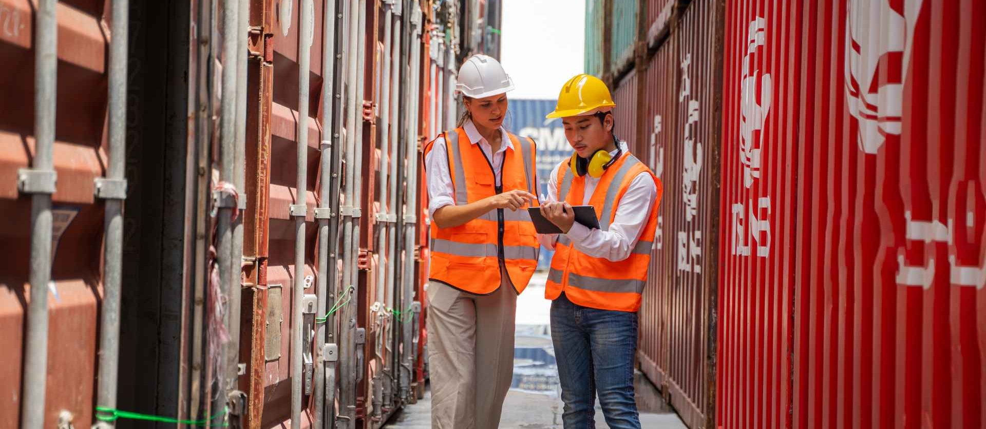 Ciclo PHVA: definição e funcionamento