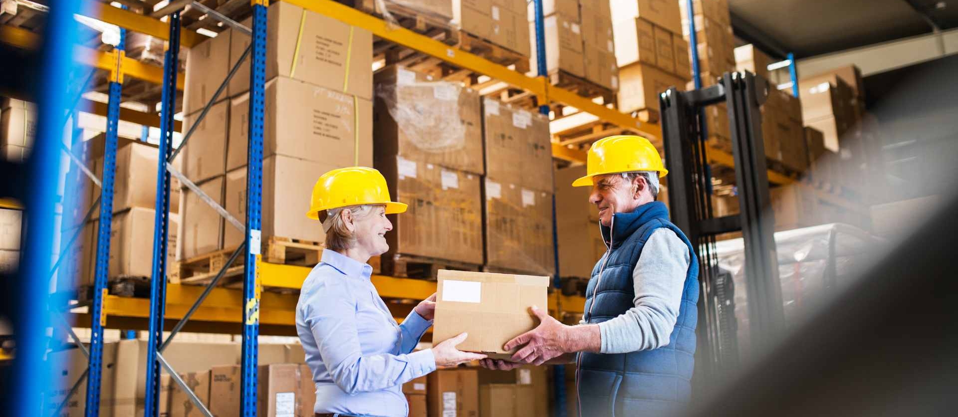 Cómo un ERP Puede Ayudar en el Proceso Logístico