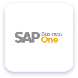 SAP Business One