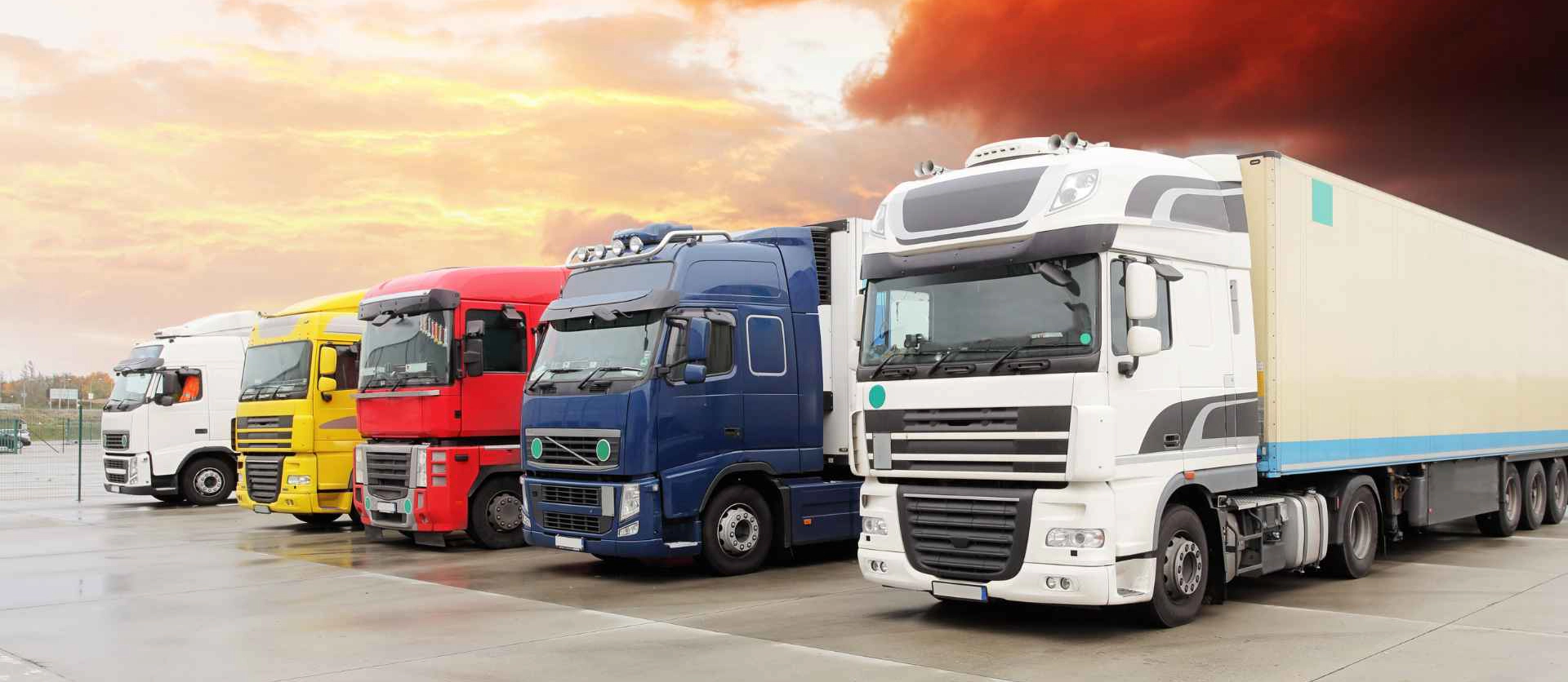 Transporte de alimentos: Tudo o que sua empresa precisa saber