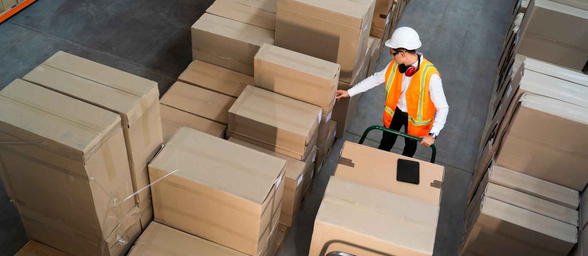 Cómo Elegir un Software de Logística