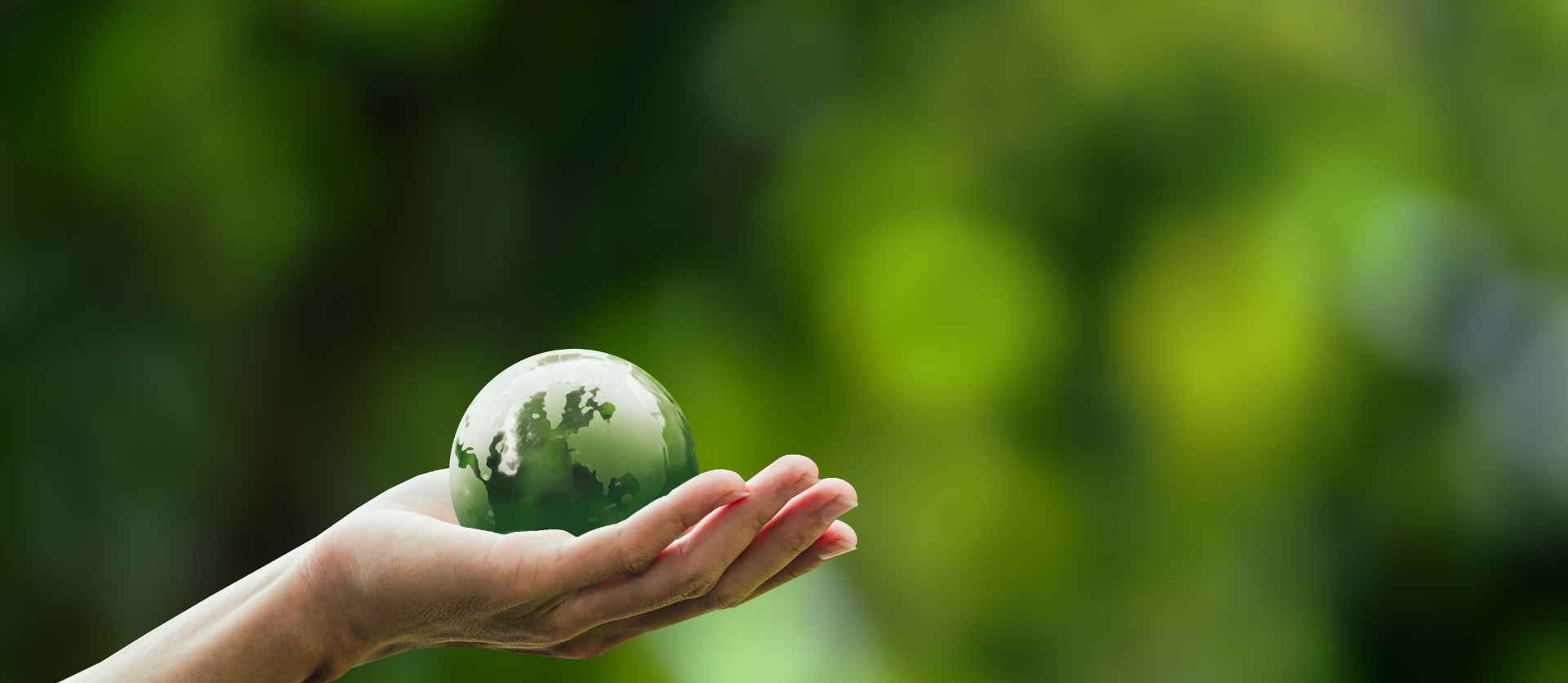 Cómo Disminuir la Huella de Carbono de tu Flota