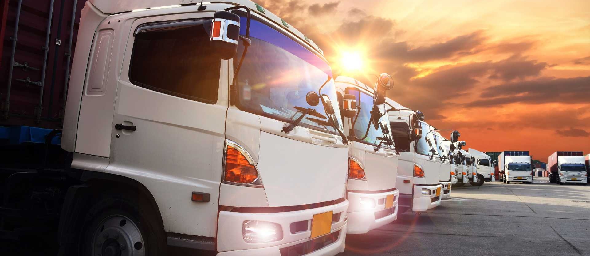Sistema de Gestión de Transporte: Cómo Implementarlo