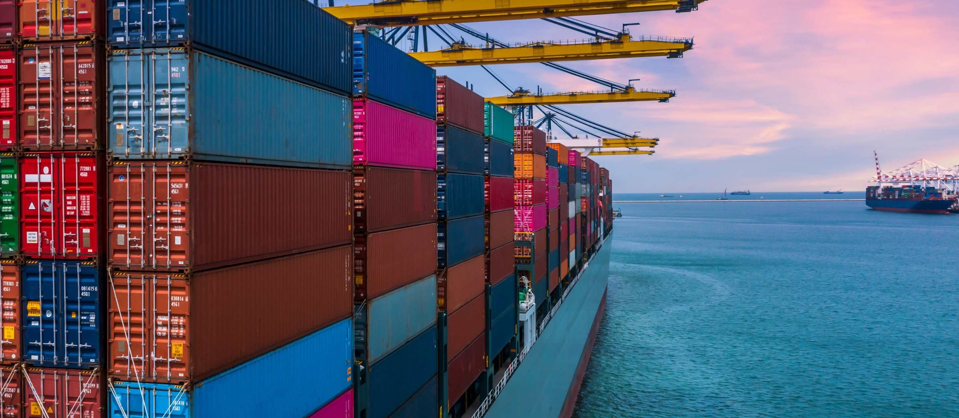 Portacontenedores: Qué Debes Saber