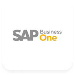 SAP Business One