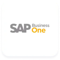 SAP Business One
