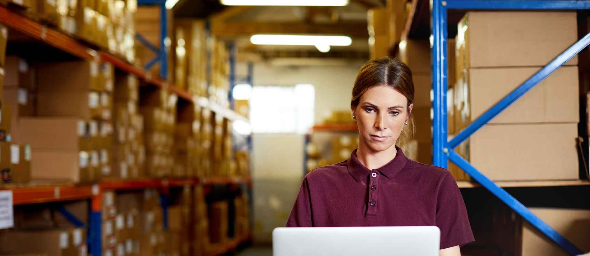 Gestão de Fornecedores Estratégias para Gerar Valor e Resultados