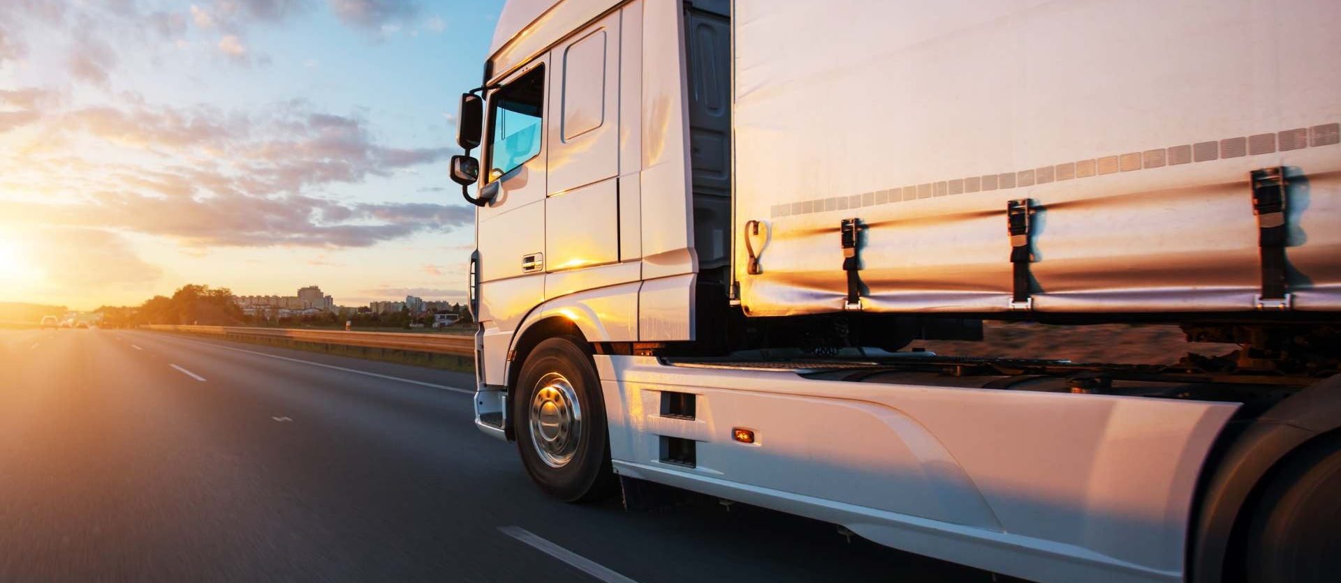 Formato de Carta Porte: Qué Debe Incluir