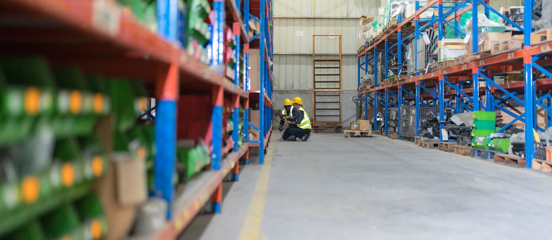 Distribución por Producto: Guía Completa
