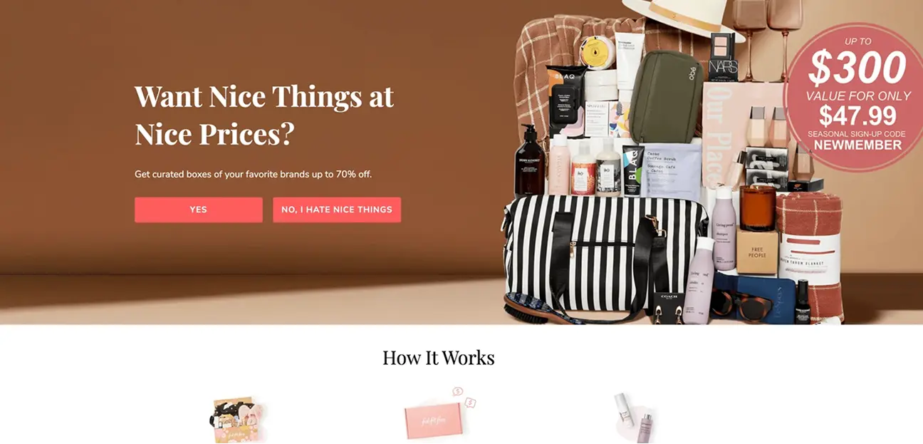 Birchbox модель DTC