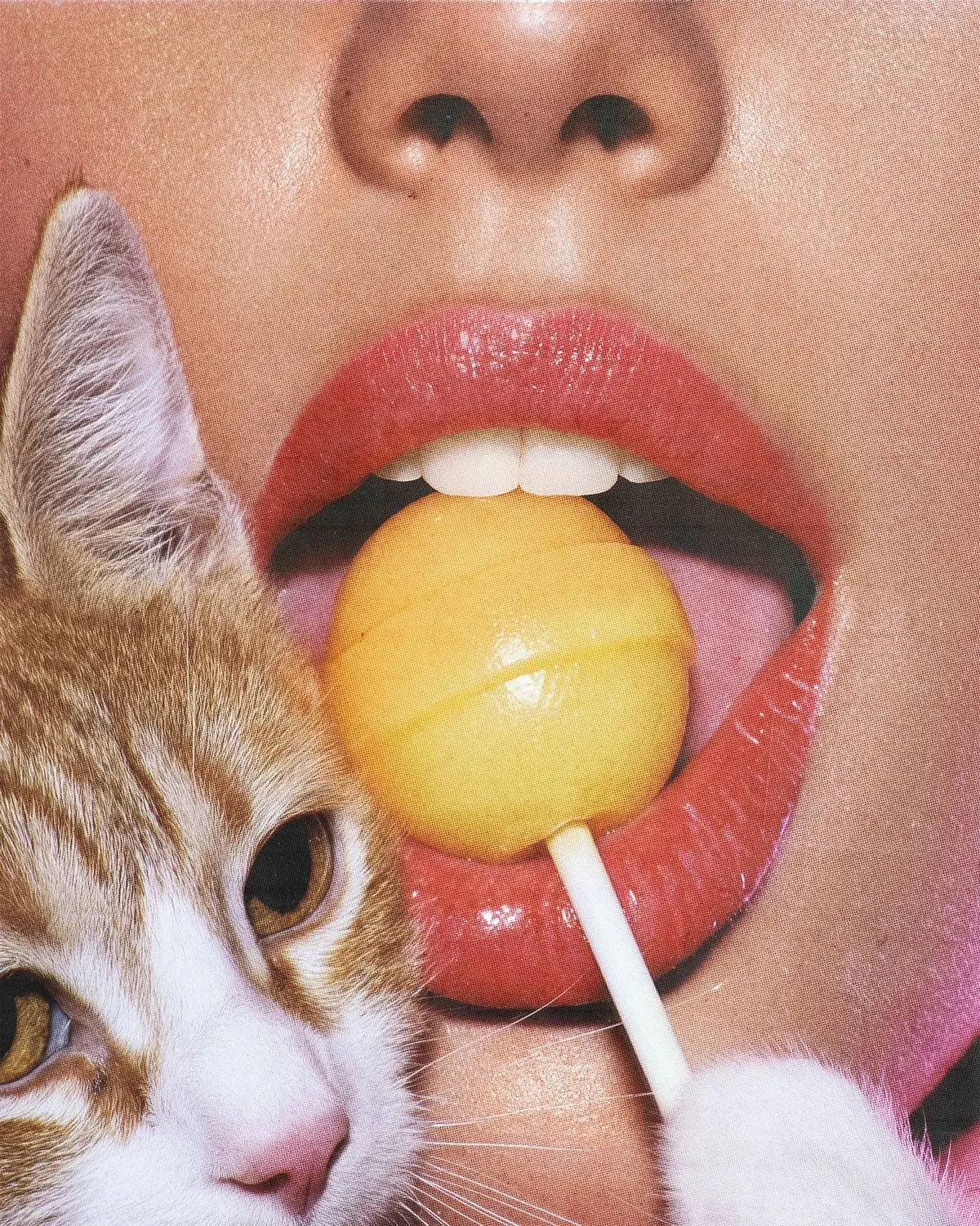 Реклама Lemme Purr 2