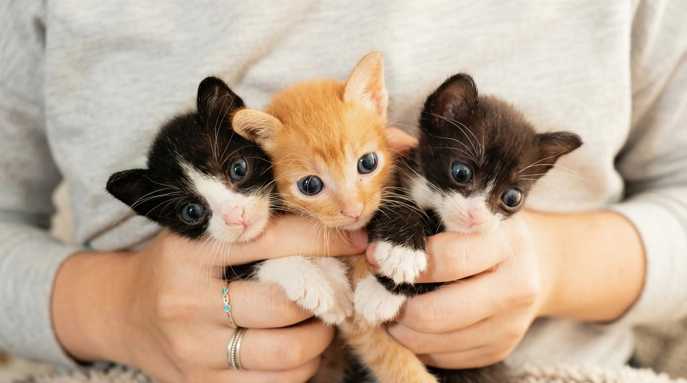 bundle