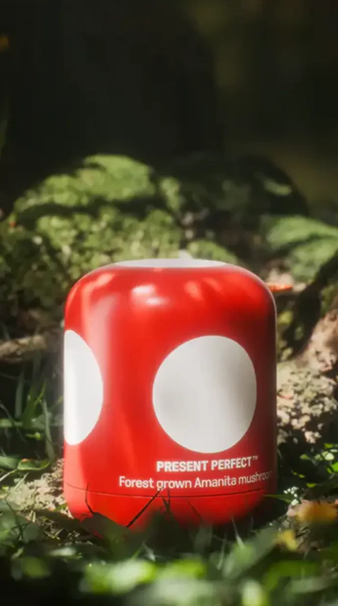 present perfect
