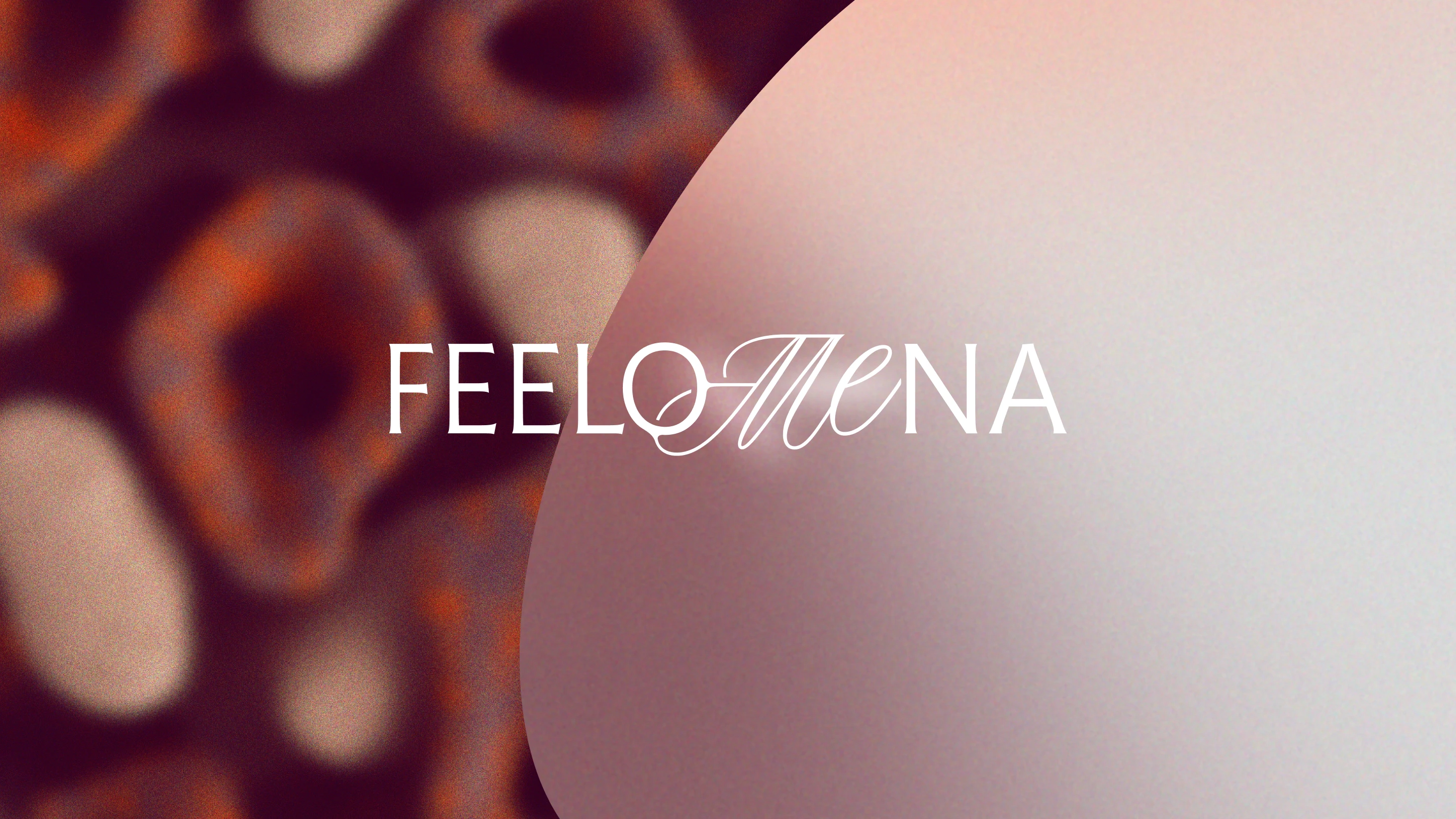 logo feelomena