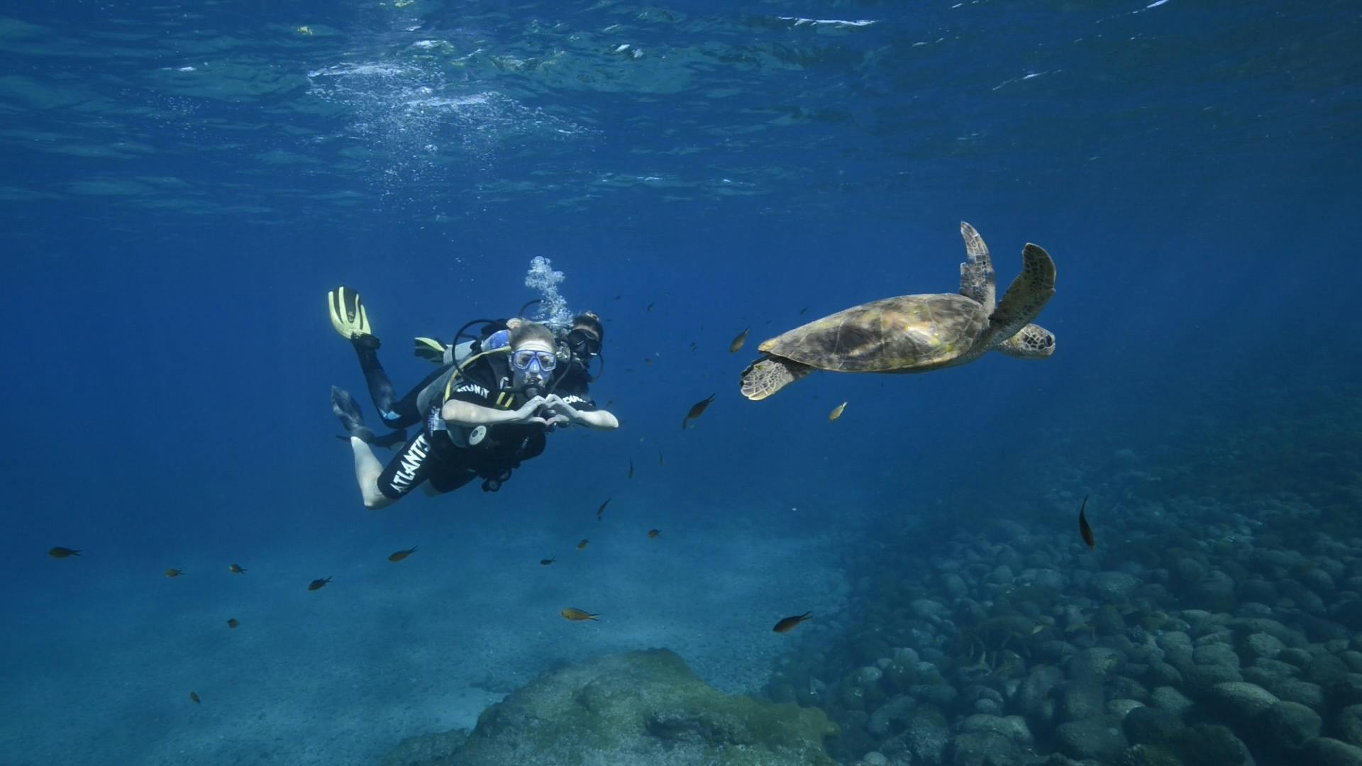 Pessoa com equipamento de mergulho nadando junto aos peixes, ao lado de uma tartaruga marinha em Fernando de Noronha/PE.