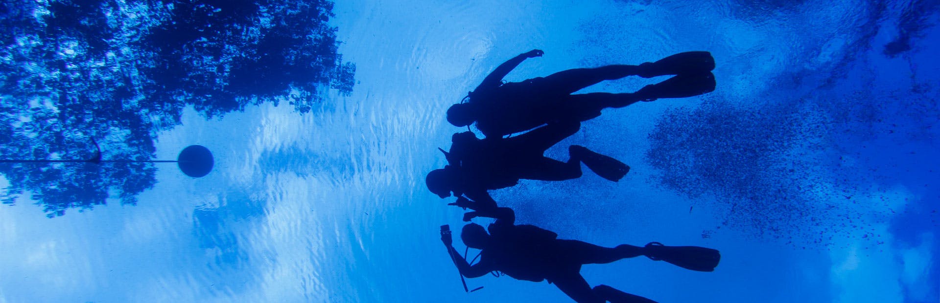 Sombra de pessoas nadando com equipamentos de mergulho de dentro da água em Bonito/MS.