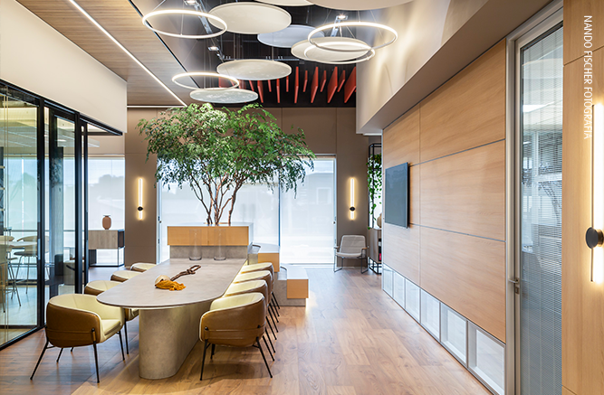 Divisystem Living: Meeting