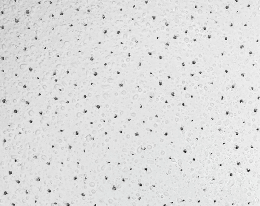 forro mineral armstrong georgian layin