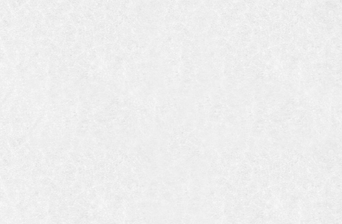 divisystem-forro-la-de-pet-trisoft-branco