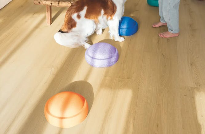 FLOORT® é indicado para espaços com pets