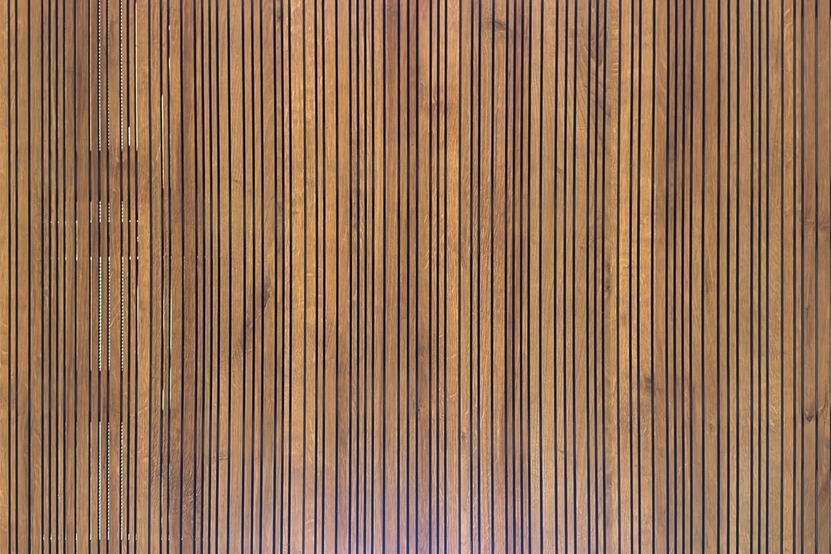 Imagem do projeto Be HIVE Nuvens Acústicas e Swissclic - 4