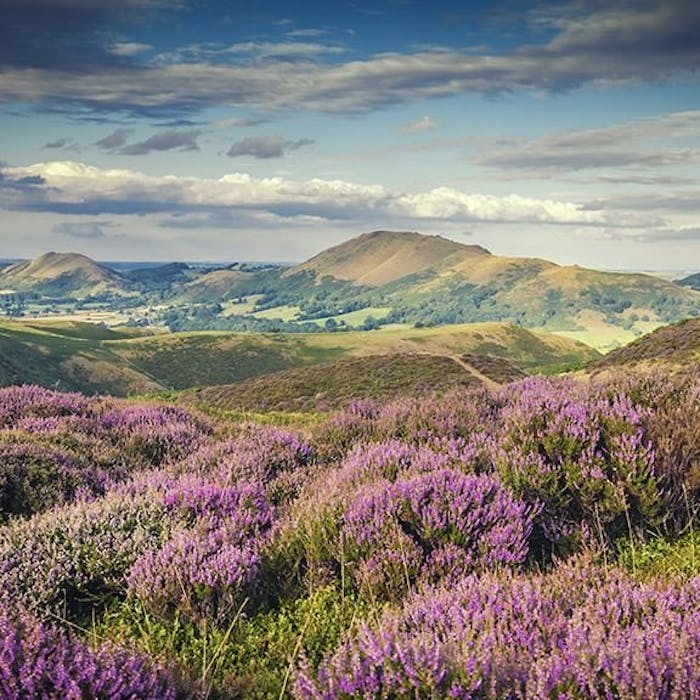 The Long Mynd - breathtaking views from the Shropshire Hills