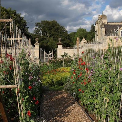 A walled garden brought back to life at Easton, Lincolnshire