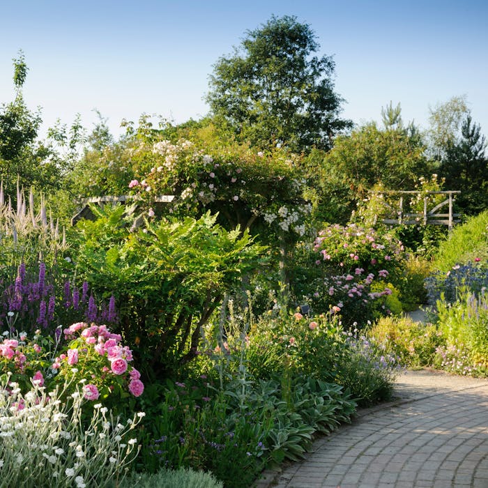 RHS Rosemoor - 65 acres of glorious greenery in Devon