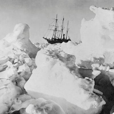 The Endurance in the ice: explorer Shackleon's Antarctic trauma